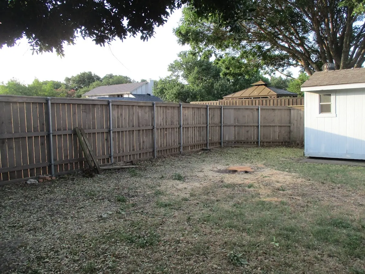 Cleared yard after professional tree removal in Bedrock